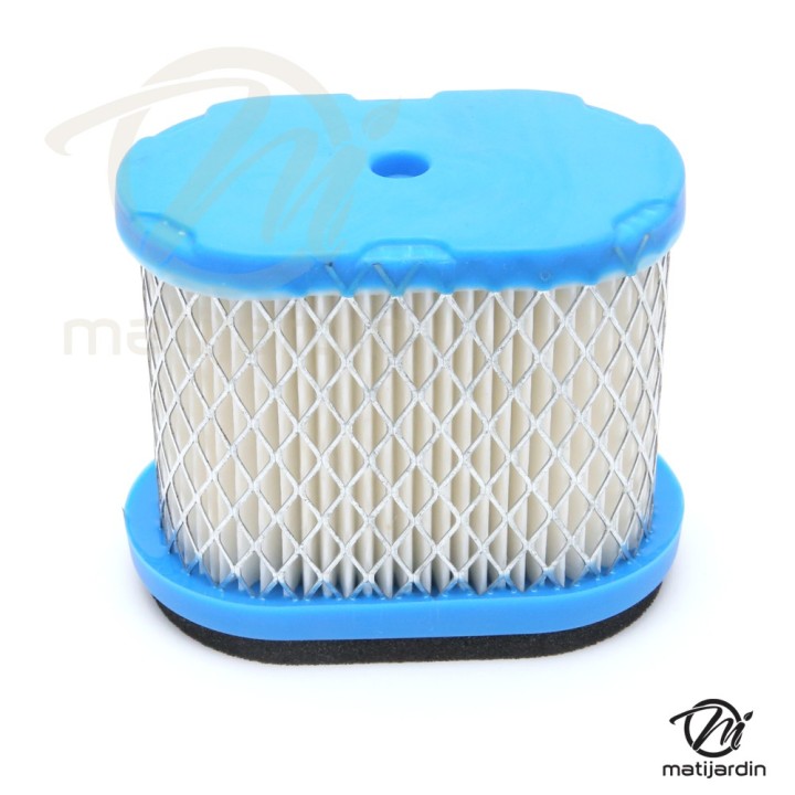 Filtre à air pour moteur Briggs & Stratton 692446