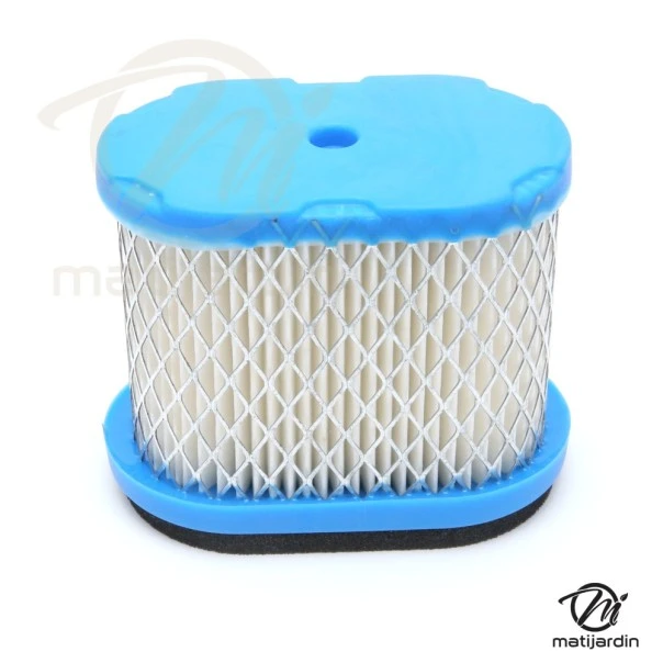 Filtre à air pour moteur Briggs & Stratton 692446