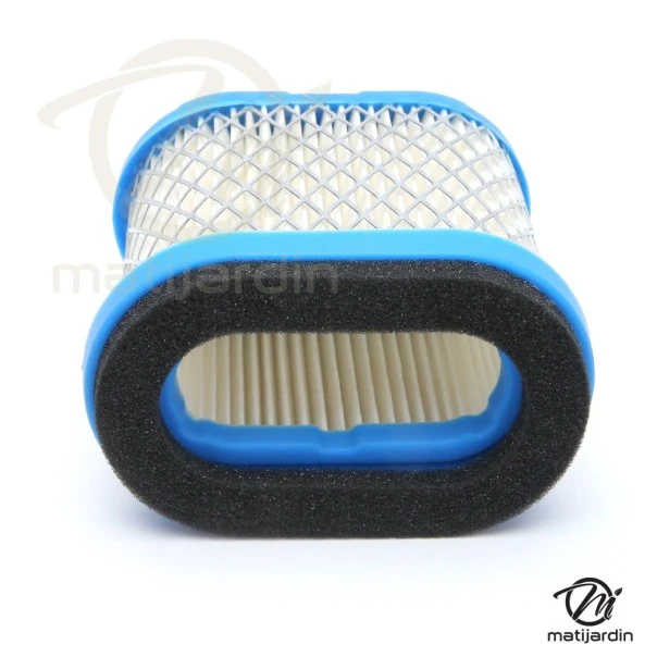 Filtre à air pour moteur Briggs & Stratton 692446