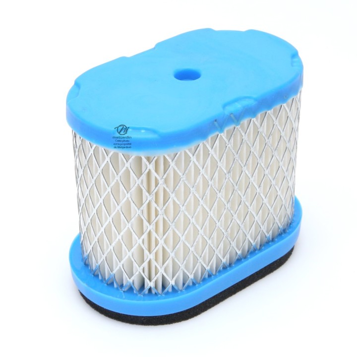 Filtre à air pour moteur Briggs & Stratton 692446