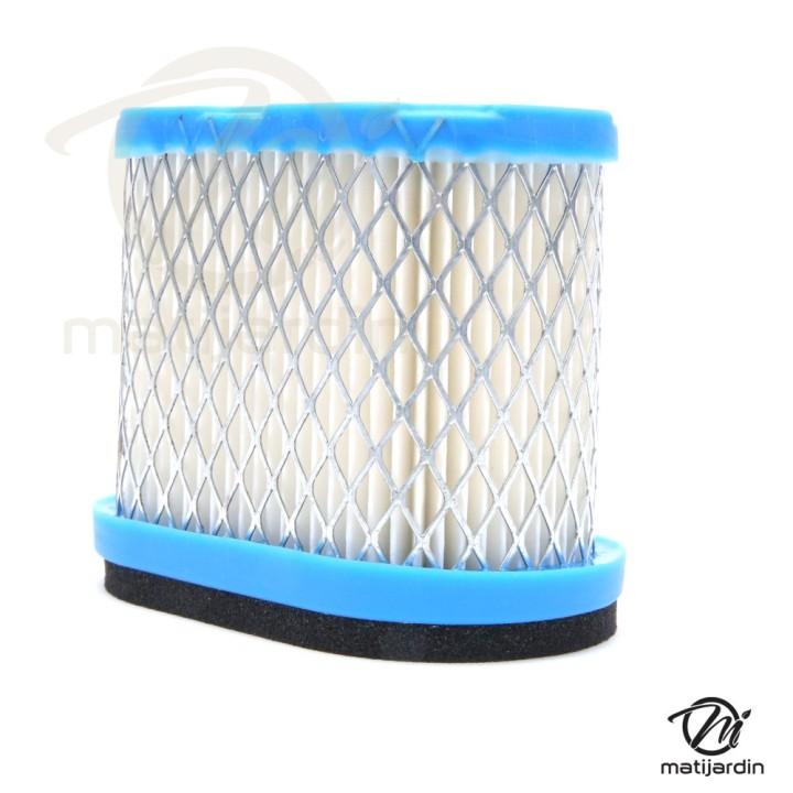 Filtre à air pour moteur Briggs & Stratton 692446
