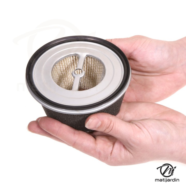 Filtre à air pour moteur Honda 172A-188-3902