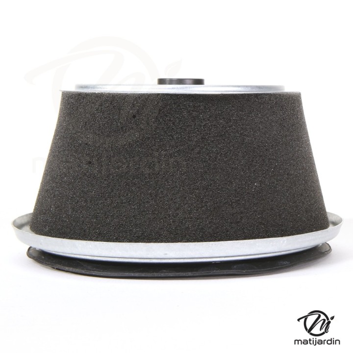 Filtre à air pour moteur Honda 17211 890023