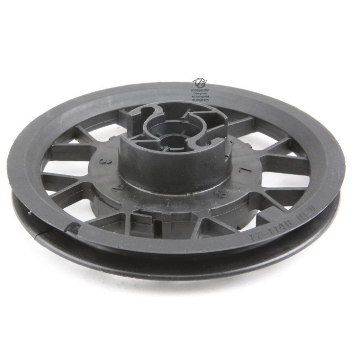 Poulie de lanceur pour moteur Aspera/ Tecumesh N°29780011