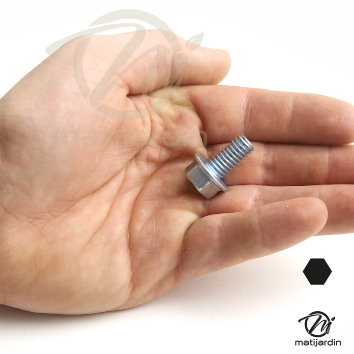 Vis autotaraudeuse pour AYP. Ø 9,5 mm