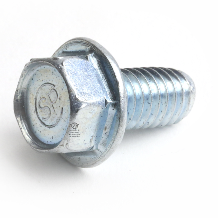 Vis autotaraudeuse pour AYP. Ø 9,5 mm