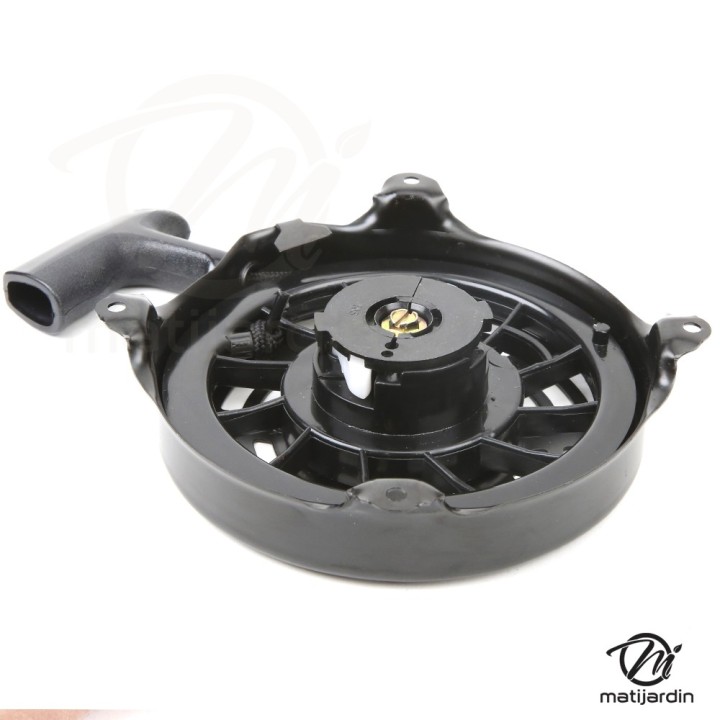 Lanceur pour moteur Briggs & Stratton Quantum, Europa