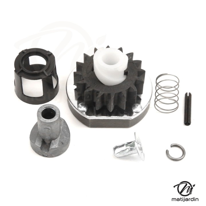 Kit nez pour démarreur Briggs & Stratton N°495878