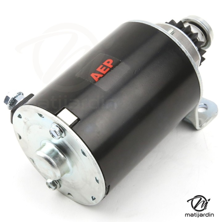 Démarreur pour moteur Briggs & Stratton séries 254422, 254427. Standard