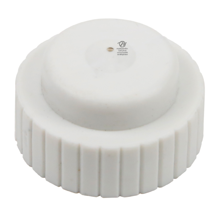 Bouchon d'essence pour moteur Lawn Boy 681446