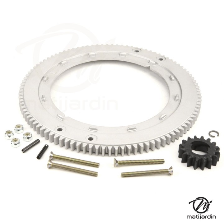 Kit couronne et pignon pour moteur Briggs & Stratton. N° 399676, 392134, 69653