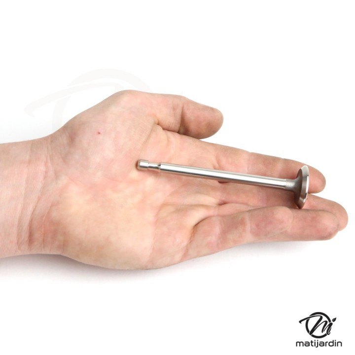 Soupape d'échappement pour moteur Briggs & Stratton N° 211 119