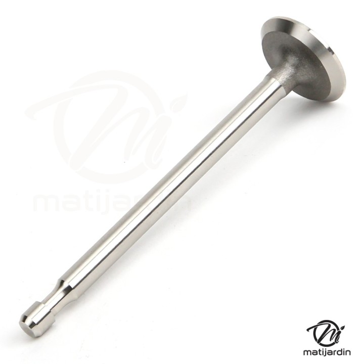 Soupape d'échappement pour moteur Briggs & Stratton N° 211 119