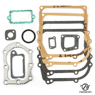 Pochette de joints 298989 pour moteur Briggs et Stratton