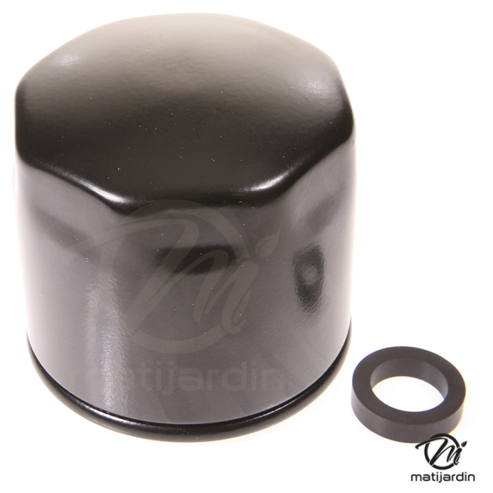 Filtre pour Lombardini 2830-2175.045 et 2175.138