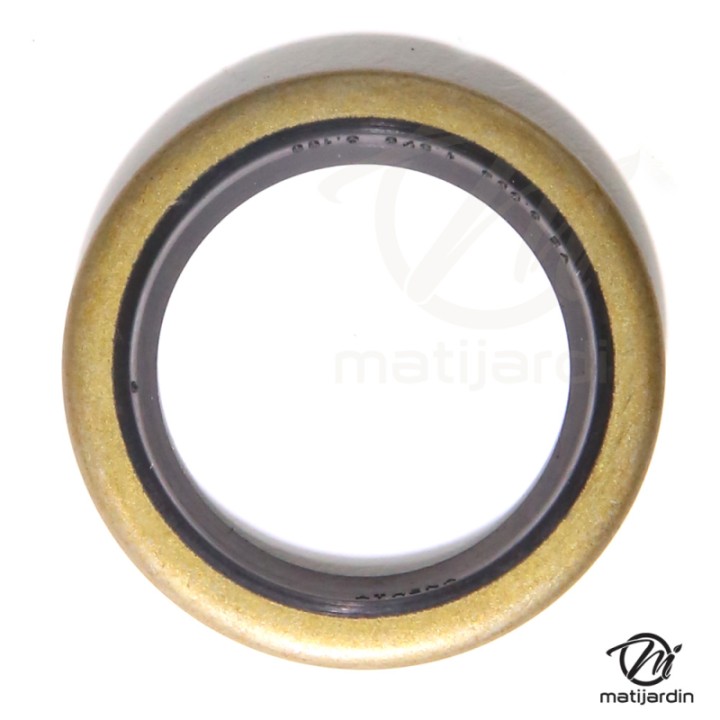 Joint spi 294606 pour moteur Briggs et Stratton