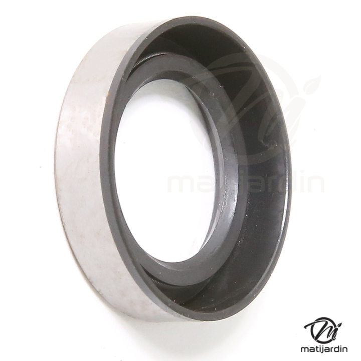 Joint spi 391485 et 294167 pour moteur Briggs et Stratton