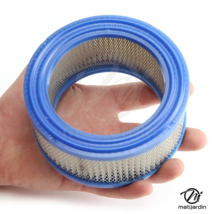 Filtre à air pour moteur Briggs & Stratton 392286