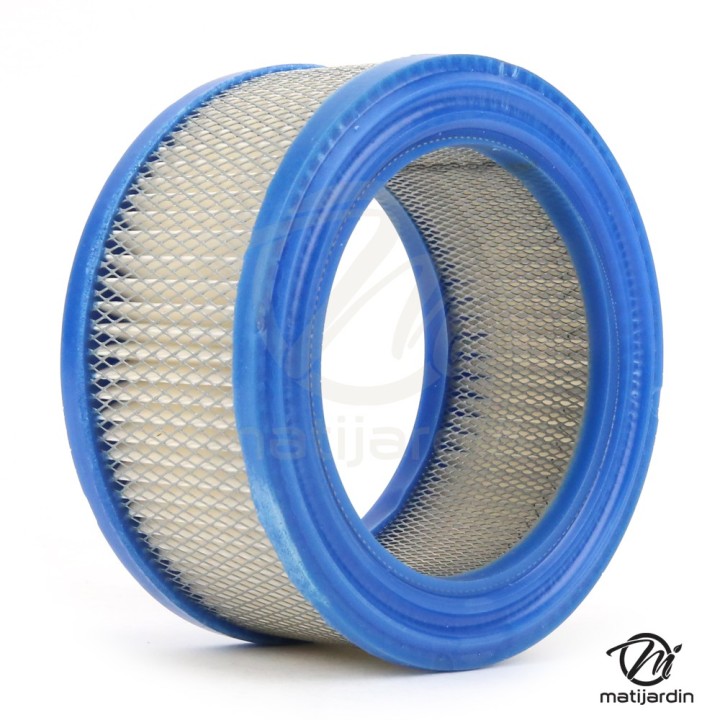 Filtre à air pour moteur Briggs & Stratton 392286