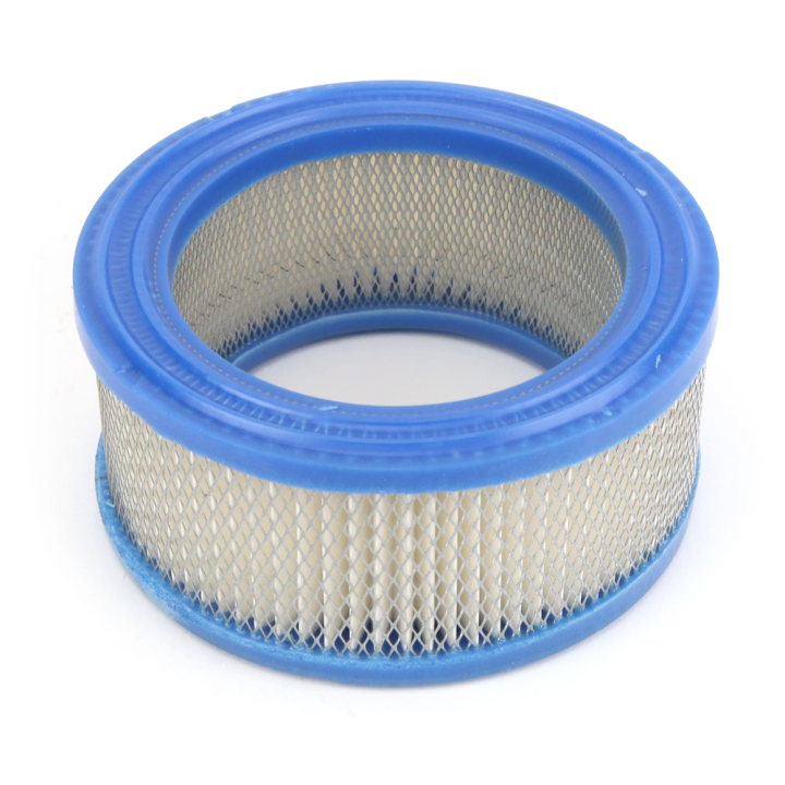 Filtre à air pour moteur Briggs & Stratton 392286