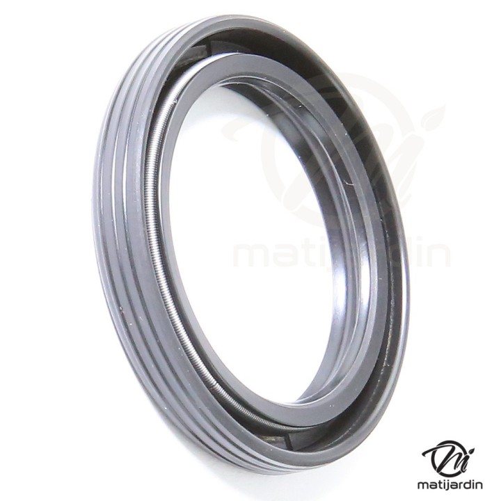 Joint spi pour moteur Briggs & Stratton N°291675