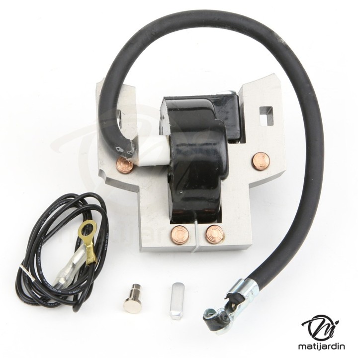 Bobine d'allumage pour Briggs & Stratton 5 hp. 397358