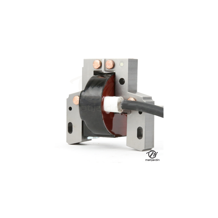 Bobine d'allumage Briggs et Stratton 398811 - allumage briggs