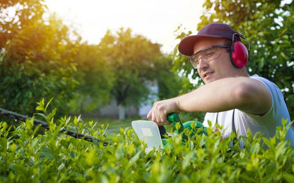 Taille en pleine croissance