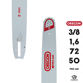 Guide Oregon Stihl Michel 1