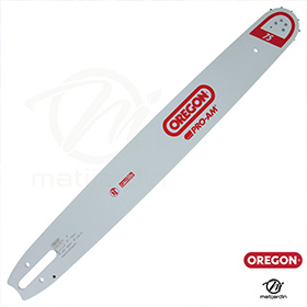 Guide Oregon Stihl Michel 3