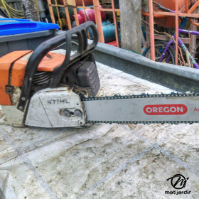 Guide Oregon Stihl Michel 2