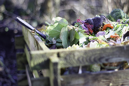 Vérification du compost