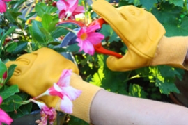 Comment choisir la taille de vos gants pour le jardin ?