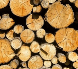 La dureté du bois impacte t-elle votre chaîne tronçonneuse ?