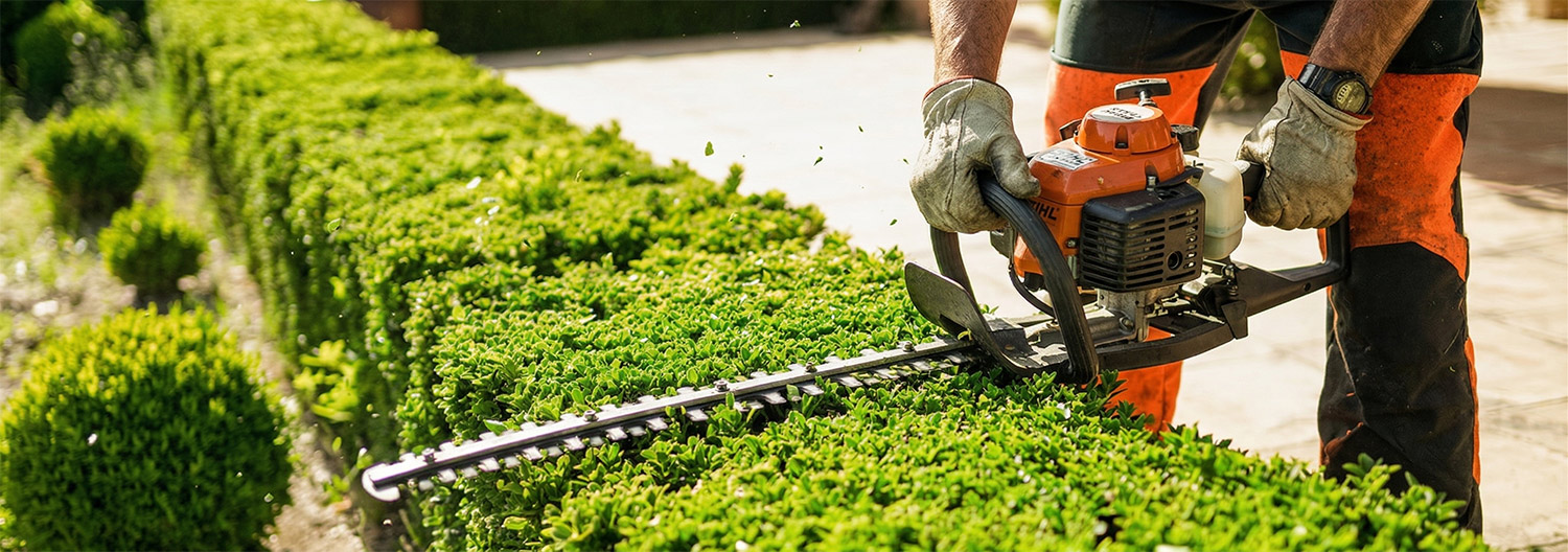 4 Techniques de taille de haies pour un jardin époustouflant !