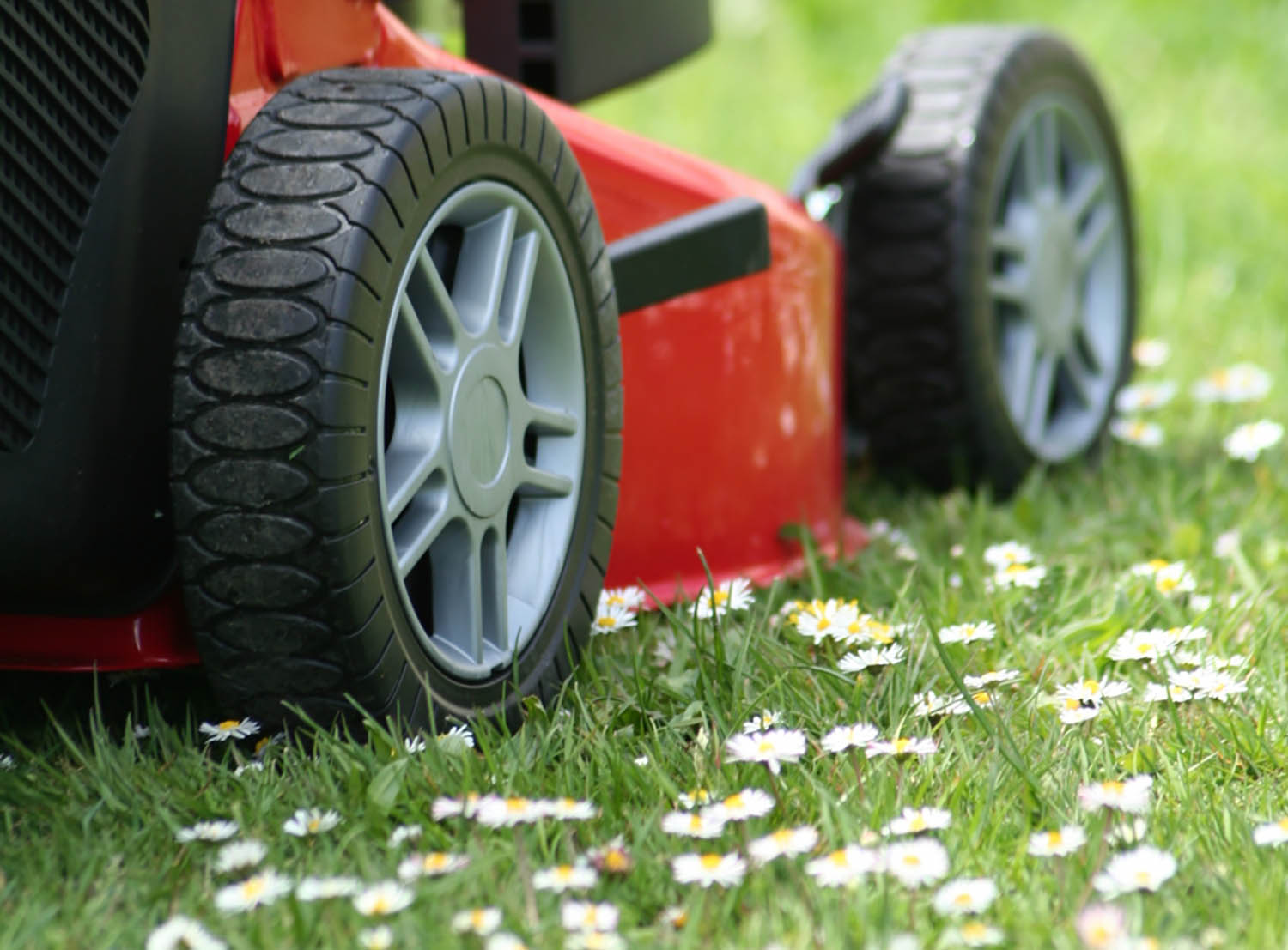 Comment tondre sa pelouse avec Matijardin ?