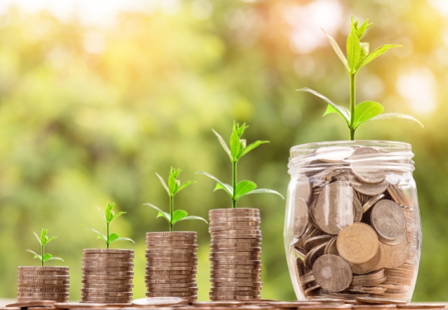 Économies Malines : Pourquoi changer les pièces de tes outils de jardin !
