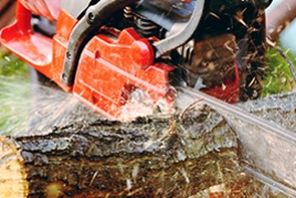 Glossaire complet des pièces et composants d'une Tronçonneuse