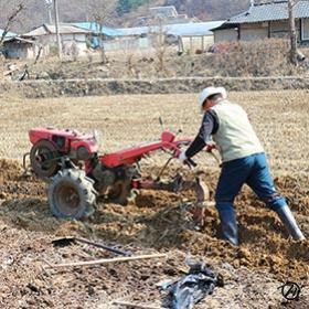 Labourer avec un motoculteur. Préparez le Printemps !