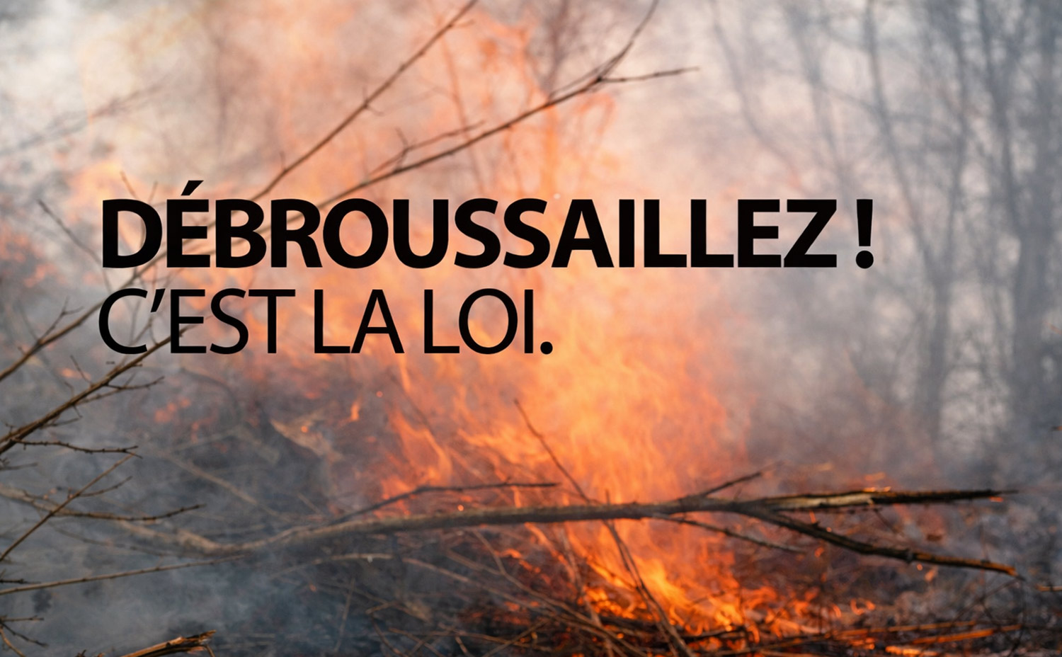 Tout savoir sur les devoirs et les obligations du débroussaillage !