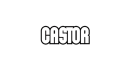 CASTOR